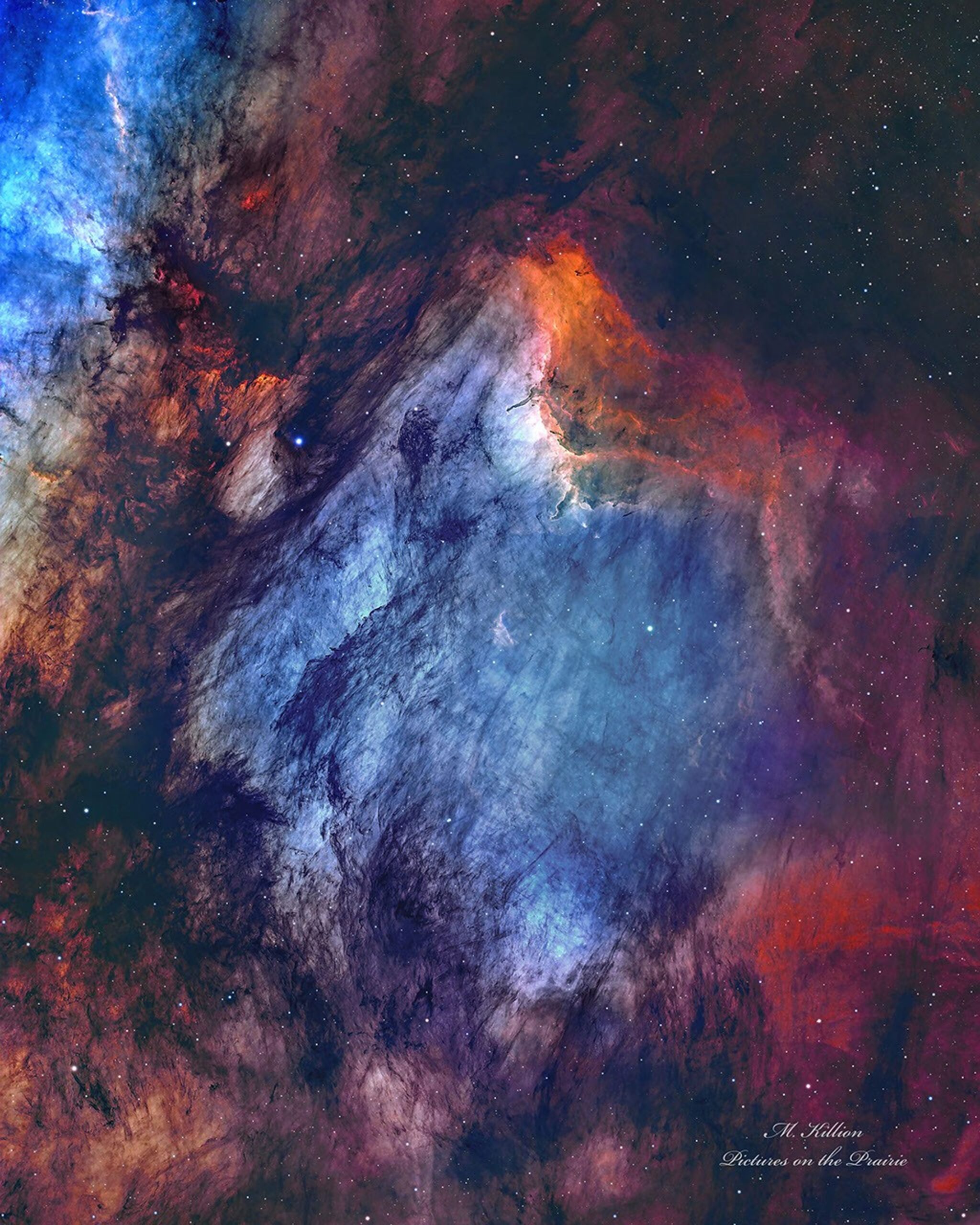 A busy starfield is dominated by red and blue glowing gas and dark filamentary dust. The nebula appears to some to have the shape of a pelican. Please see the explanation for more detailed information.