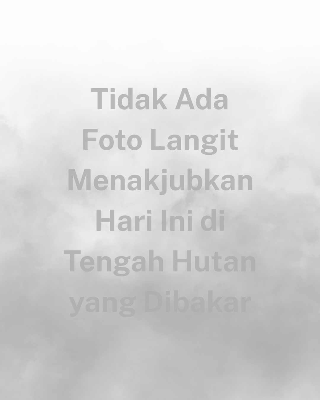 Tidak Ada Foto Langit Menakjubkan Hari Ini di Tengah Hutan yang Dibakar